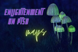 The Neuro Science Monitor (Moberg Analytics) Enlightenment on PTSD: MAPS Conference