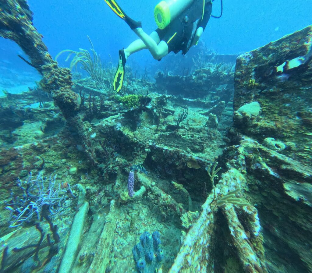 Peter and Erta diving the Wreck of the Rhone.